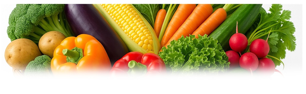 グループ行動指針イメージ